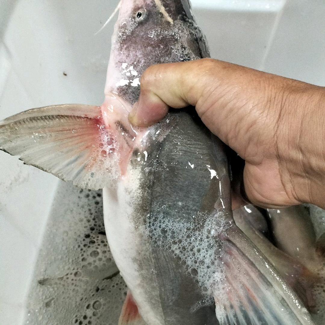 看破人生