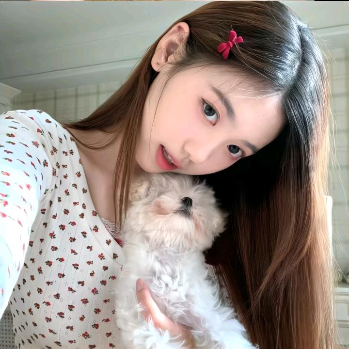 小鲨鱼