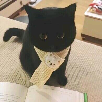 搞笑且美女