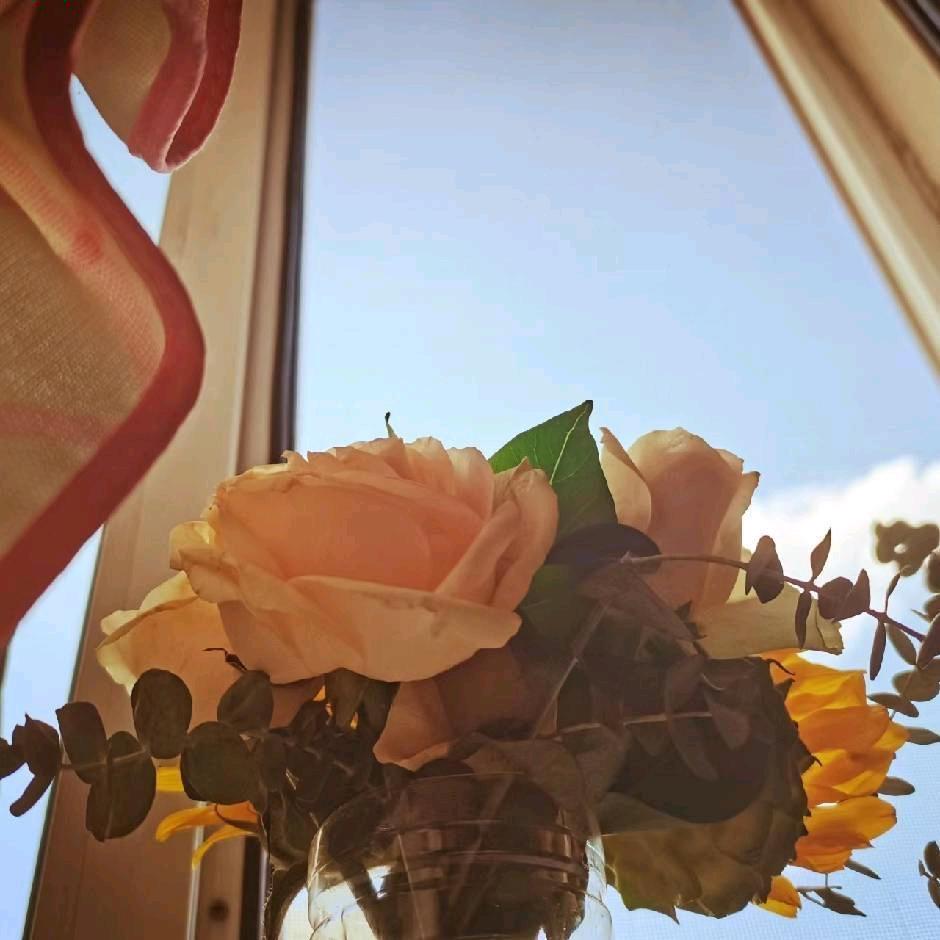 没有天赋不会努力