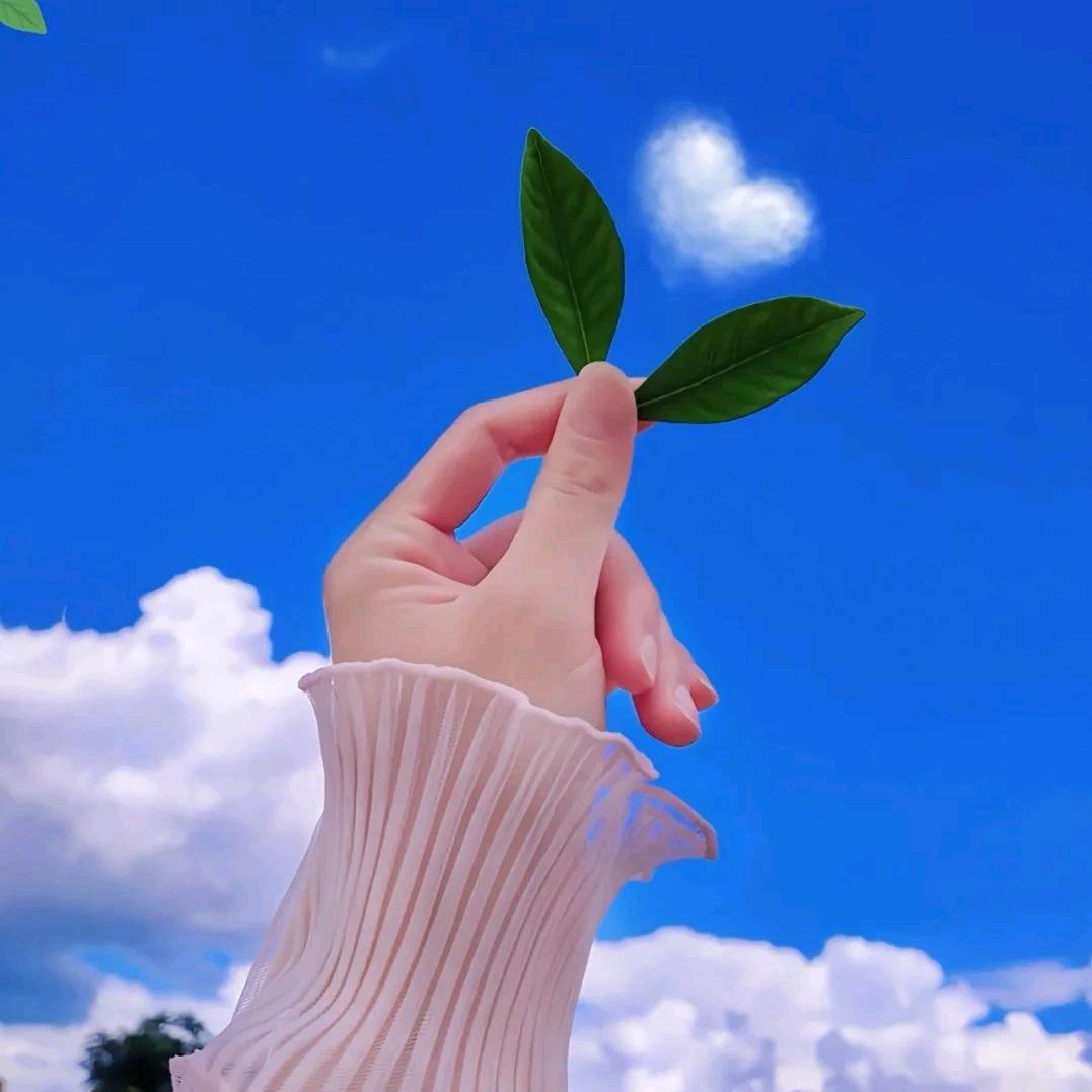 只似今朝
