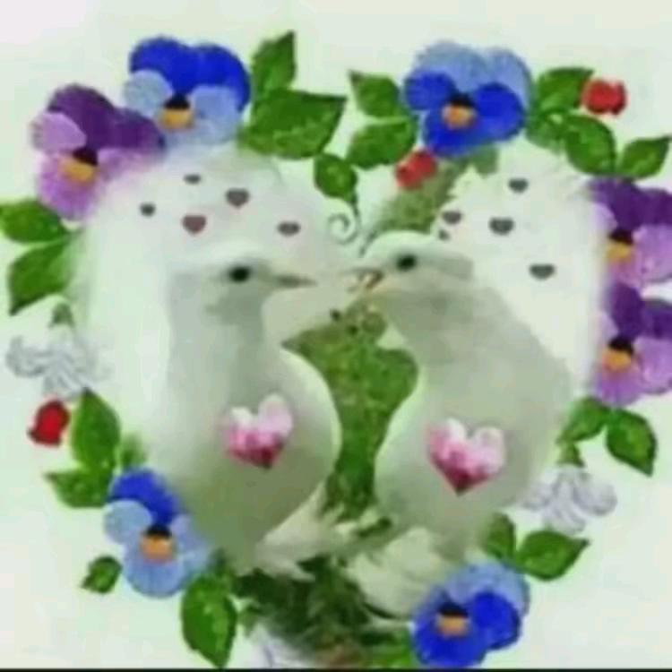 李艳