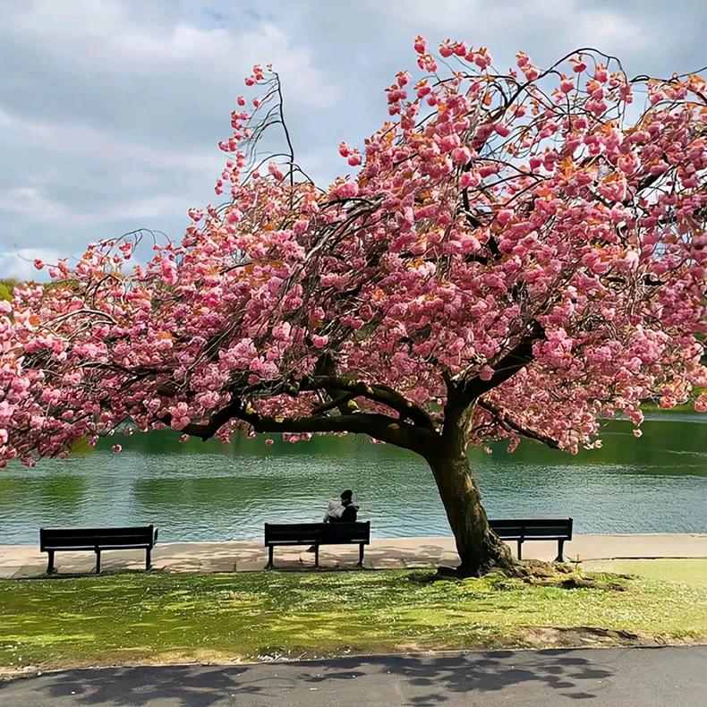 简单的幸福🌹🌹🌹