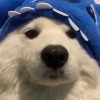 与秋搁浅