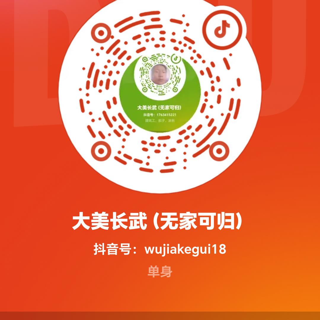 大美长武（无家可归）