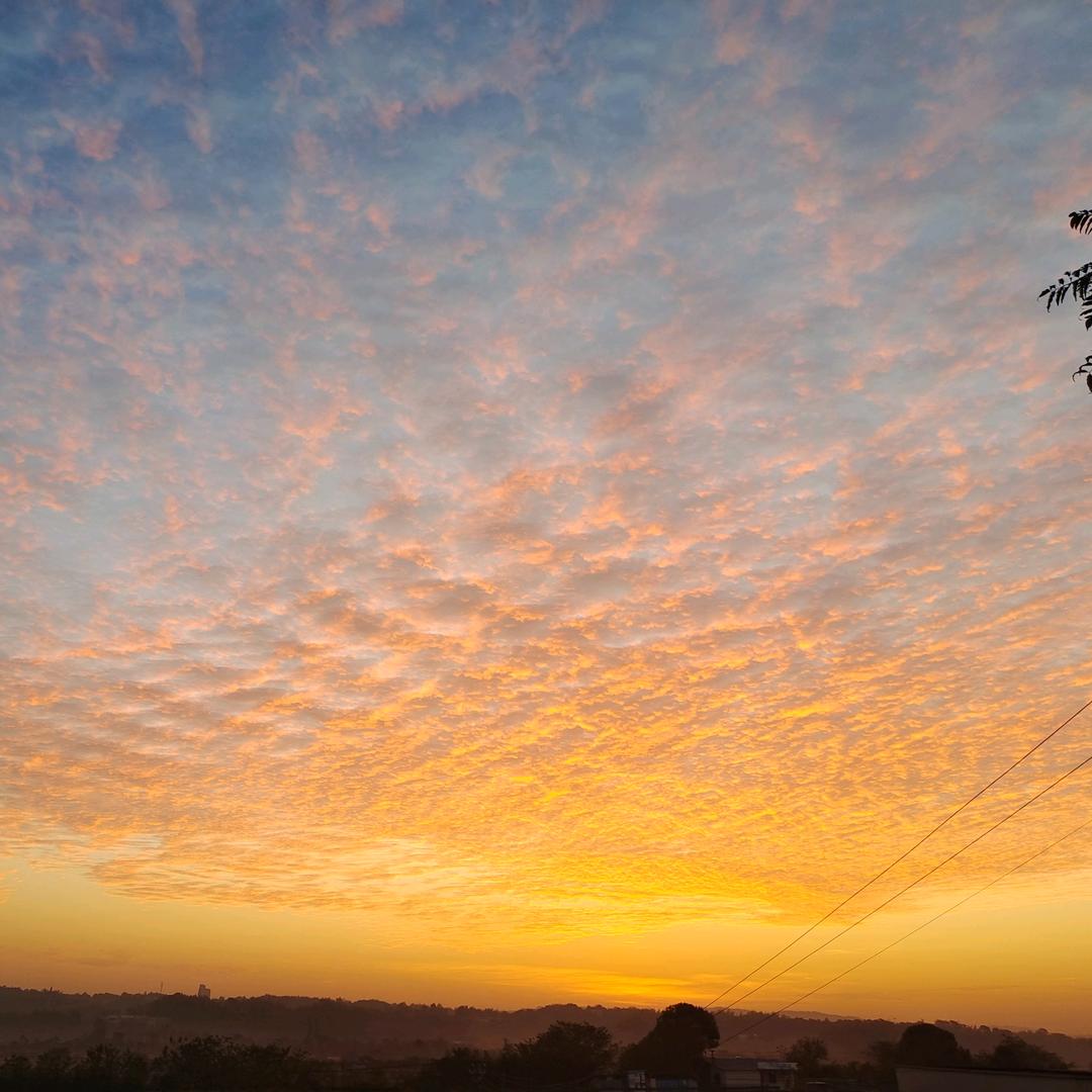 Who Will AccompanyMe