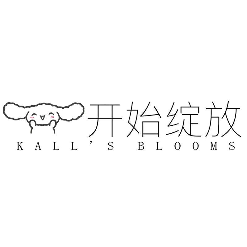 开始绽放内裤礼盒