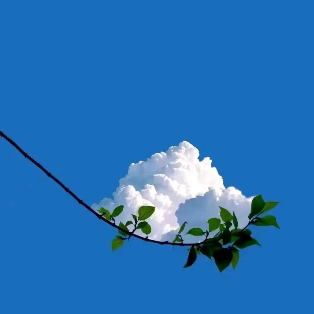 “扬”帆起“航”