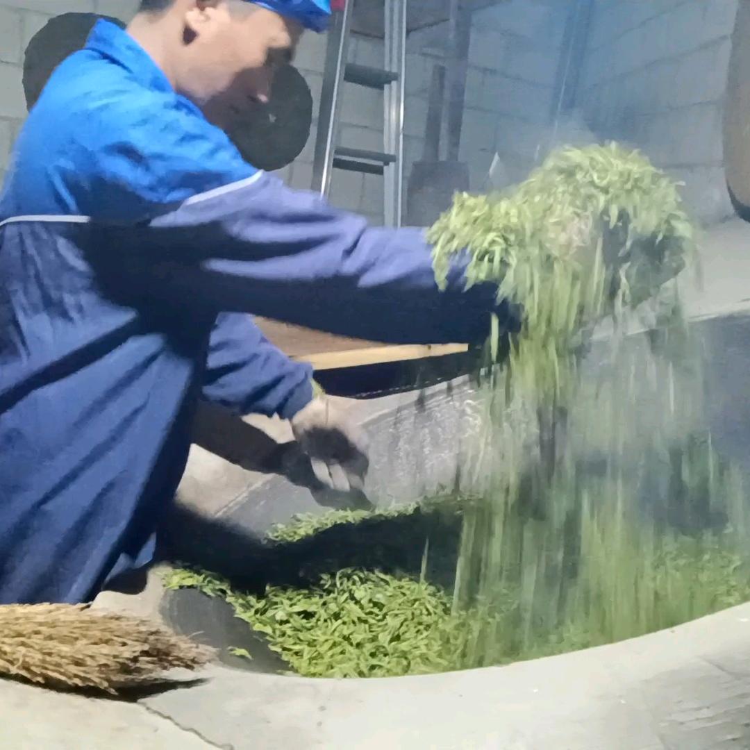 茶农小杨
