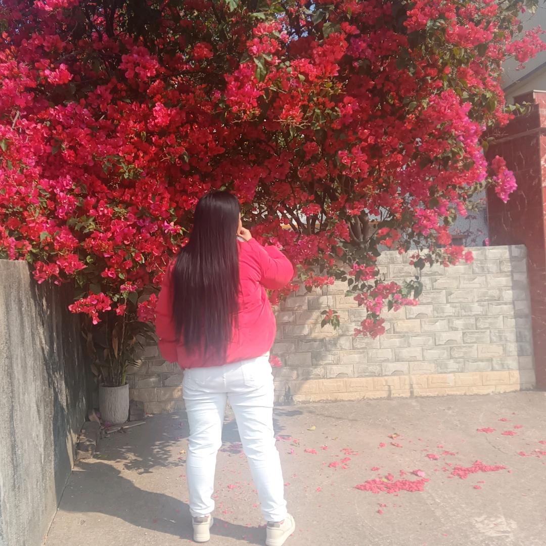 杜杜思语