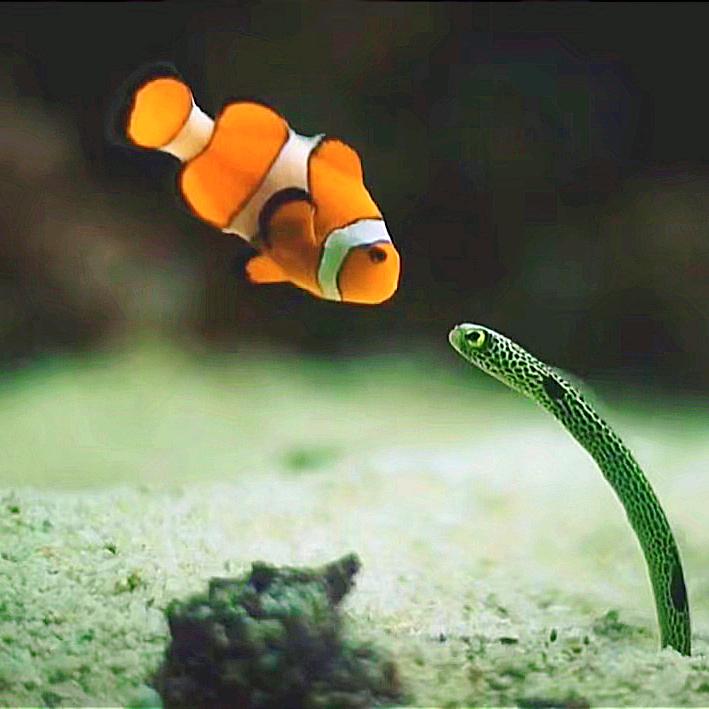 假装吓一跳