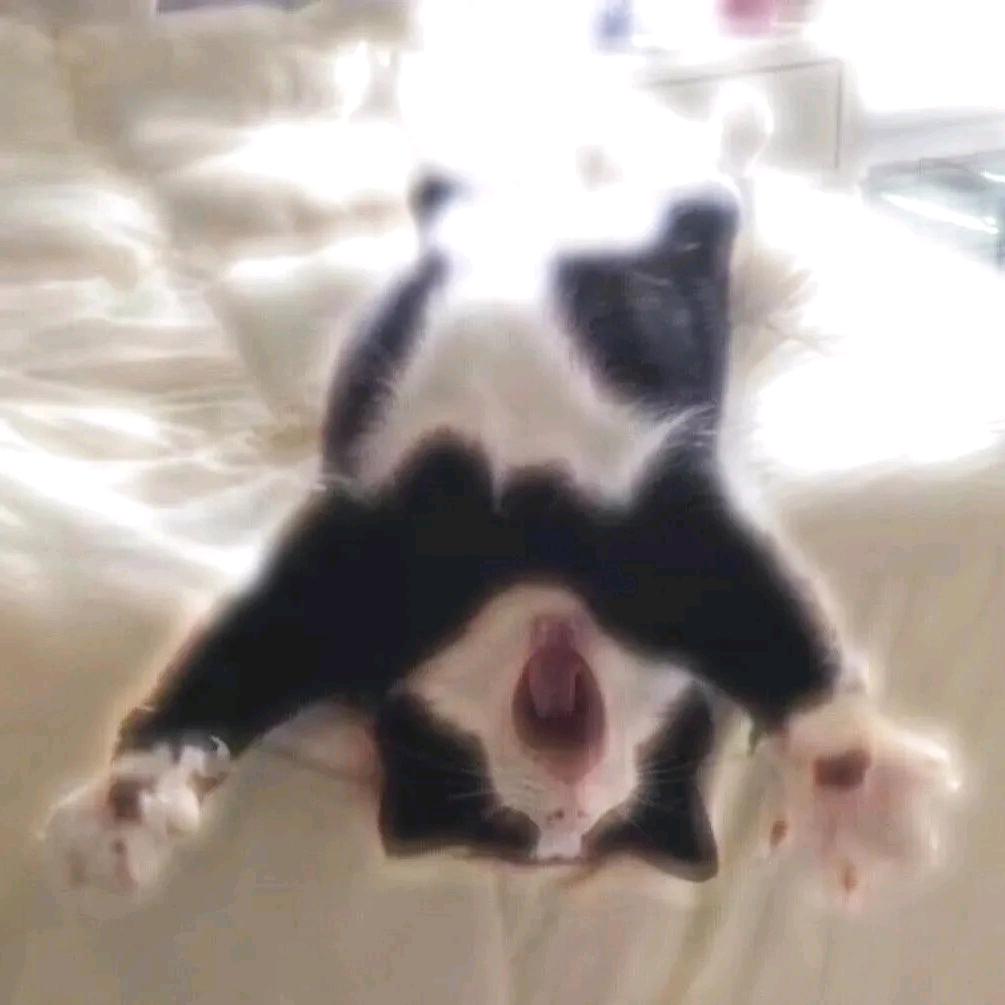 阿拆