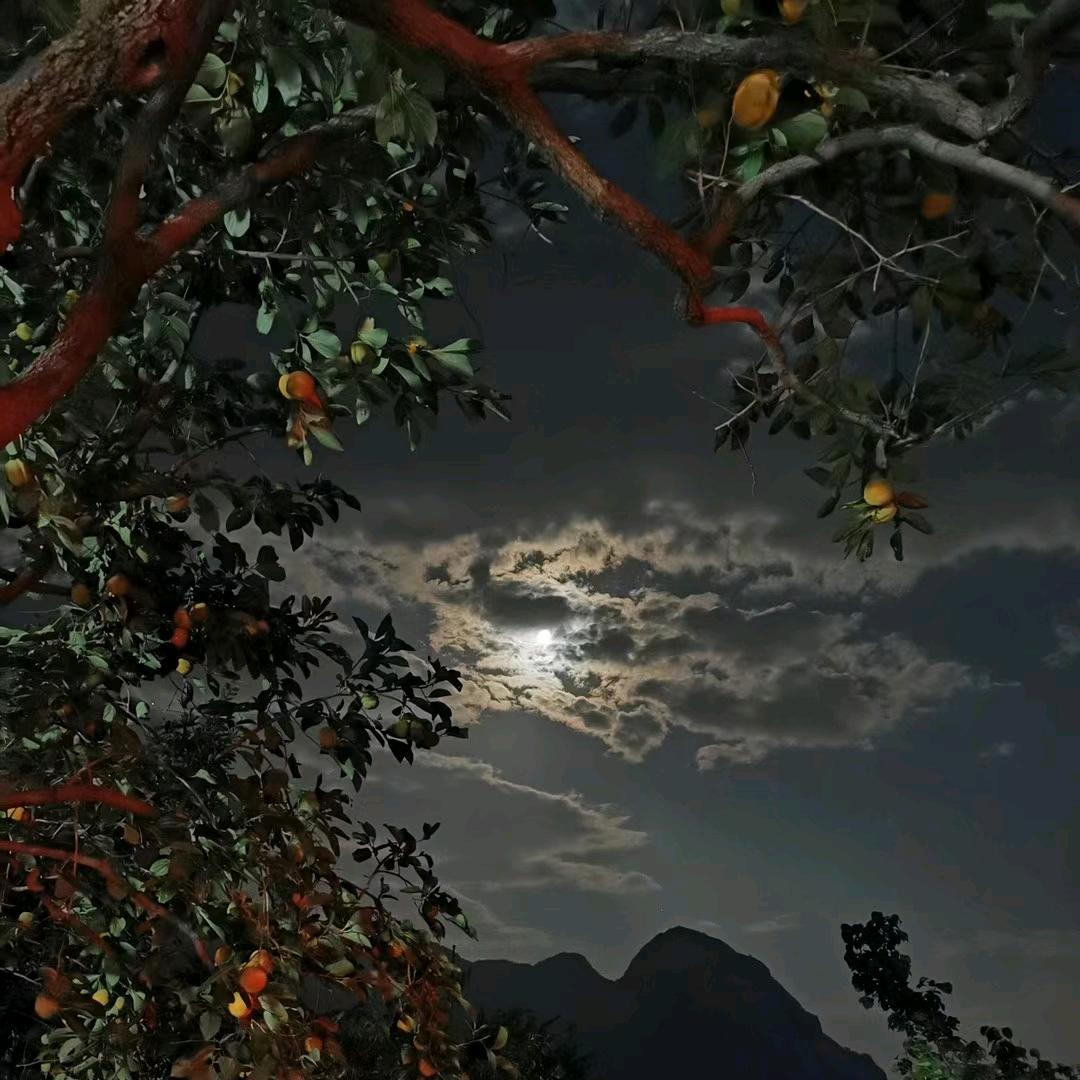陕南二狗子
