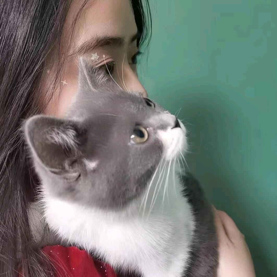 粥粥૮꒰˶ฅ́˘ฅ̀˶꒱ა