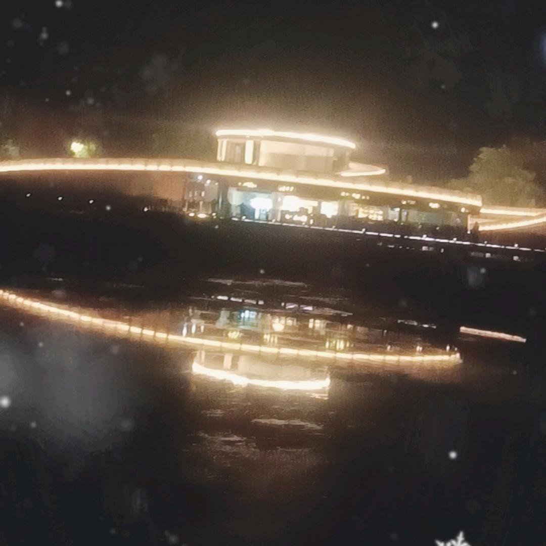 引舟之路亚神龟🎣