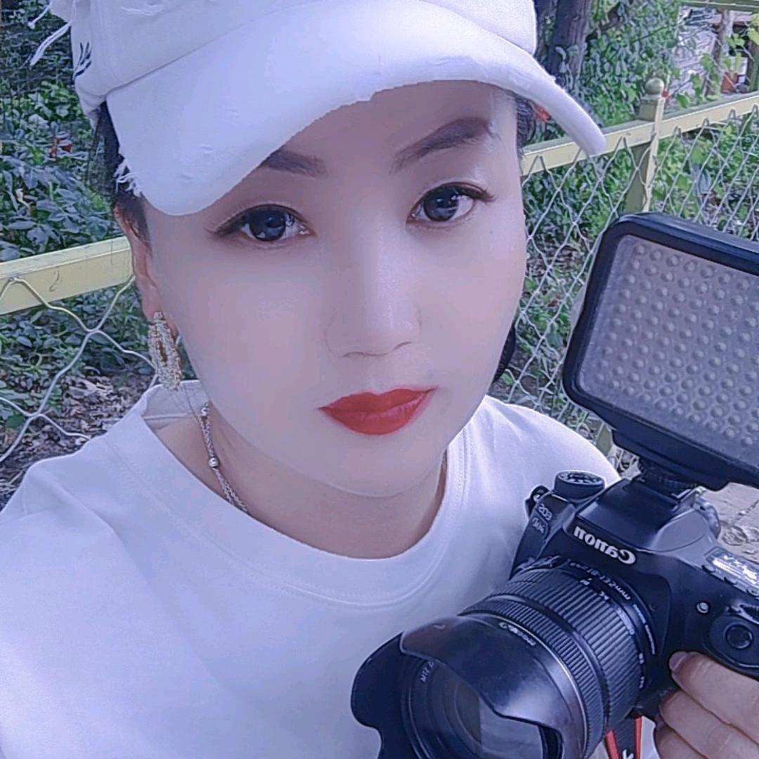 美丽的世界很精彩