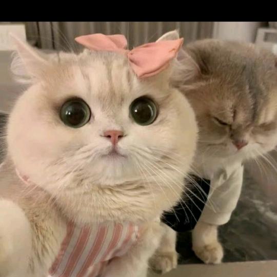 未来🌈🌈🌈🌈