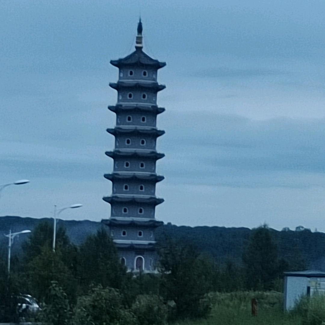 白芷