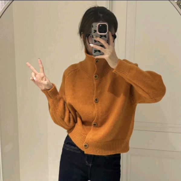 精致衣橱