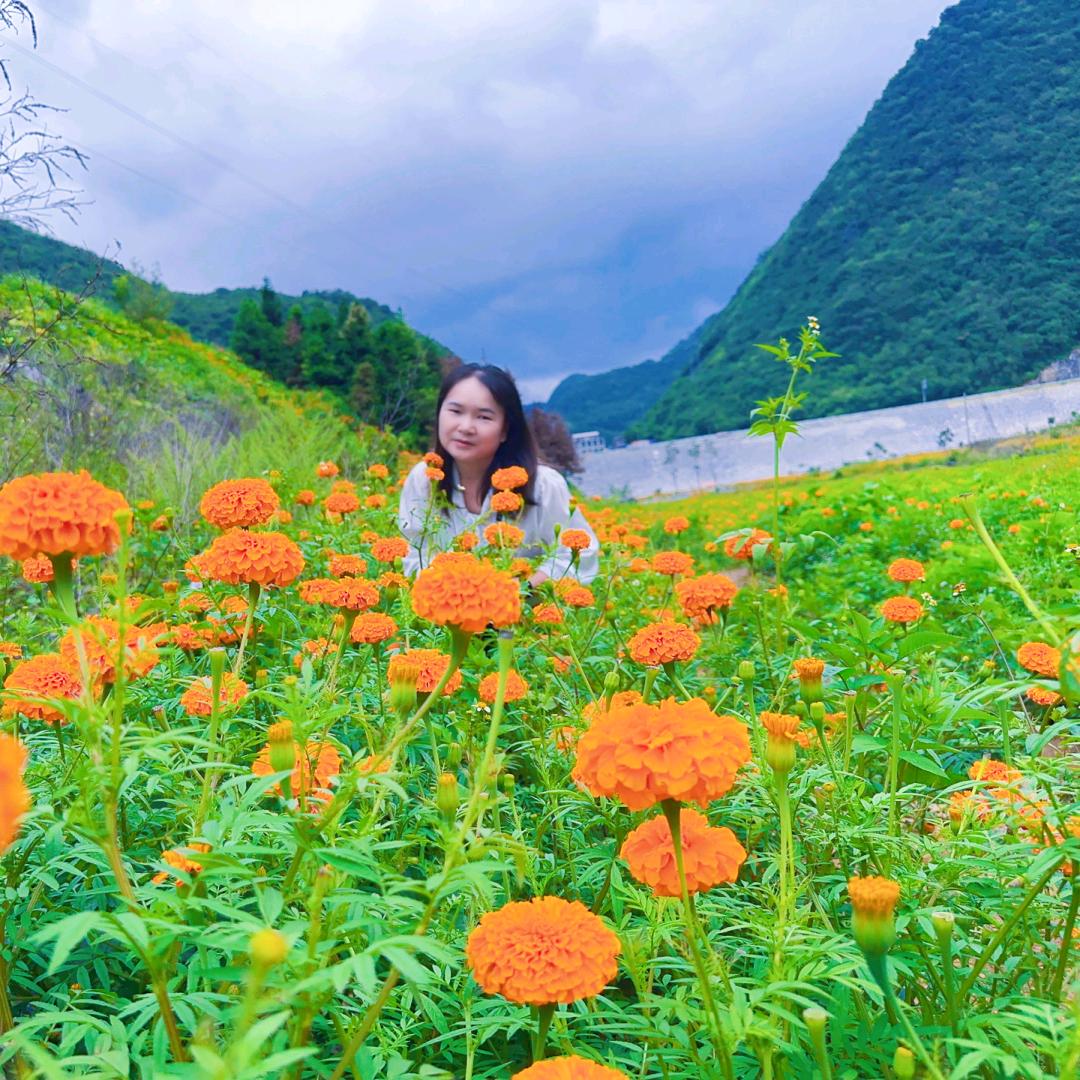 芮安好物