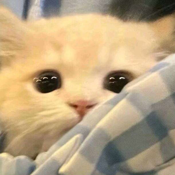 阑珊处