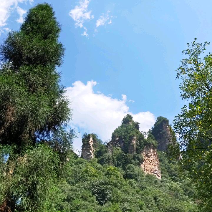 网兜儿