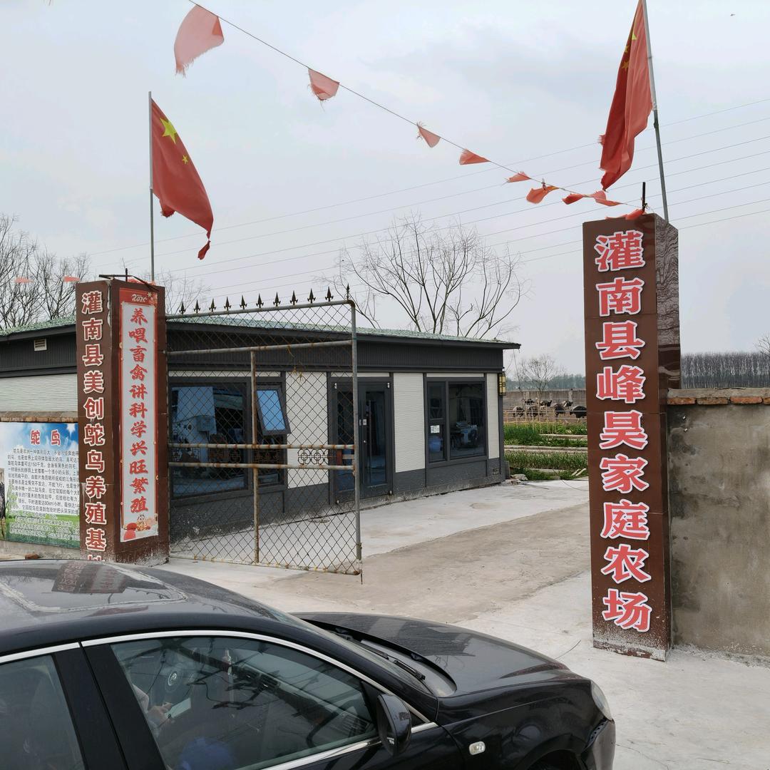 峰昊鸵鸟养殖农场