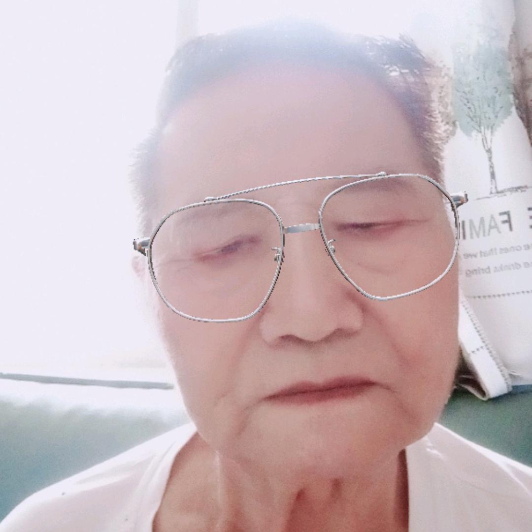 不老松