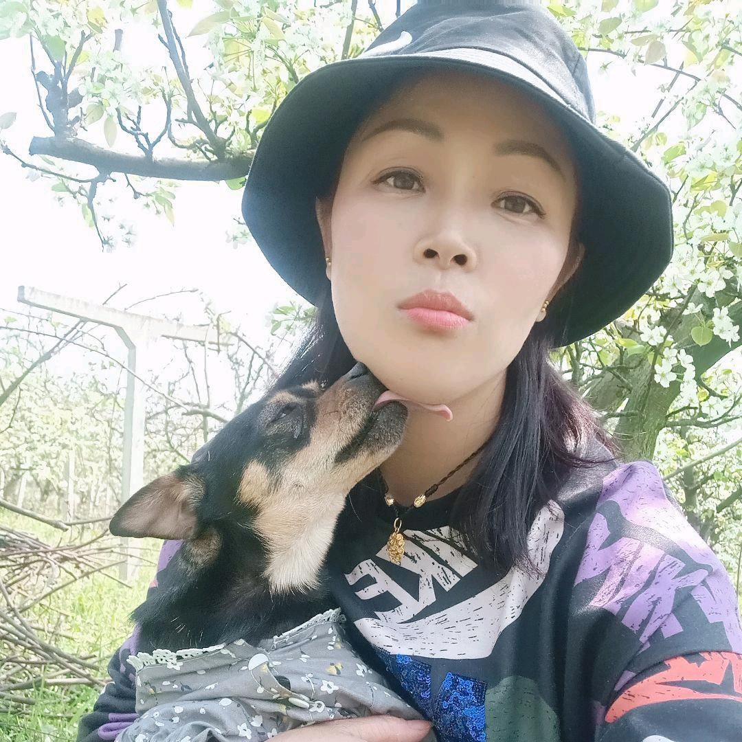 小燕
