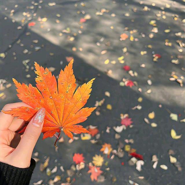 风儿吹
