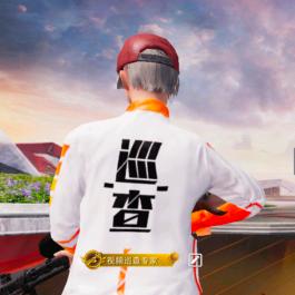 巡查员老王头