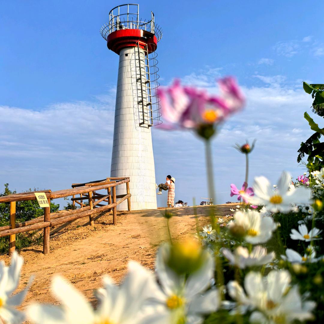 海胭