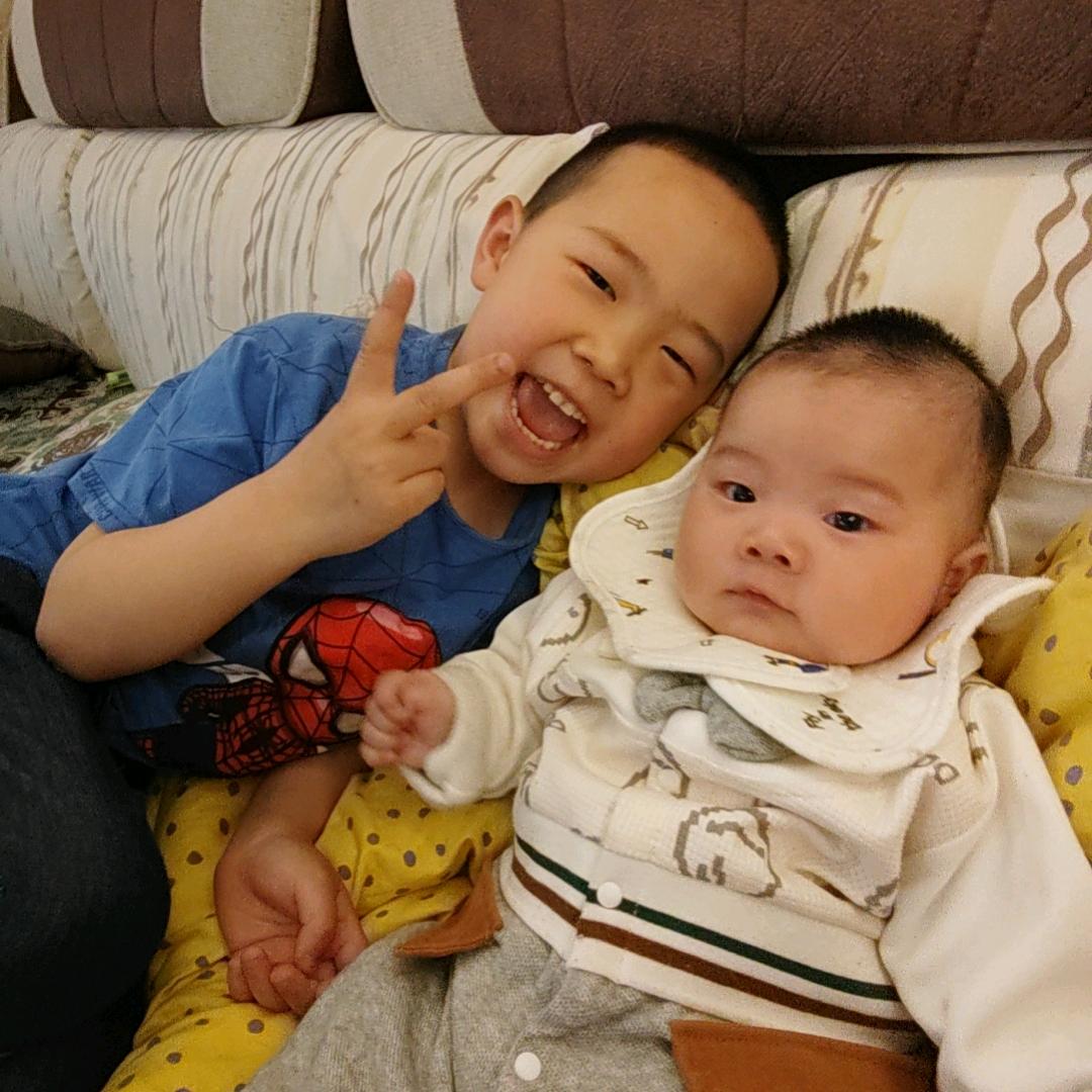 小陶陶