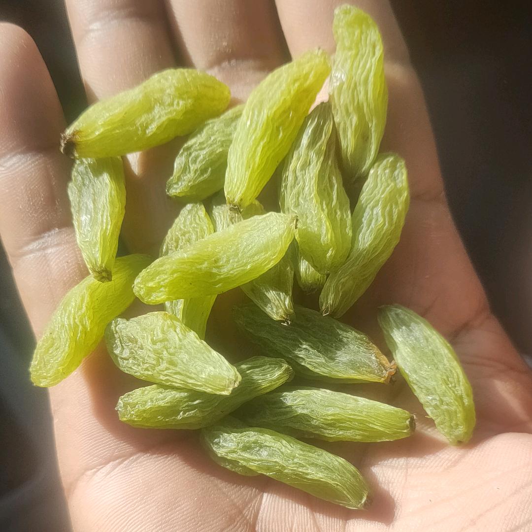 艾力干果批发店