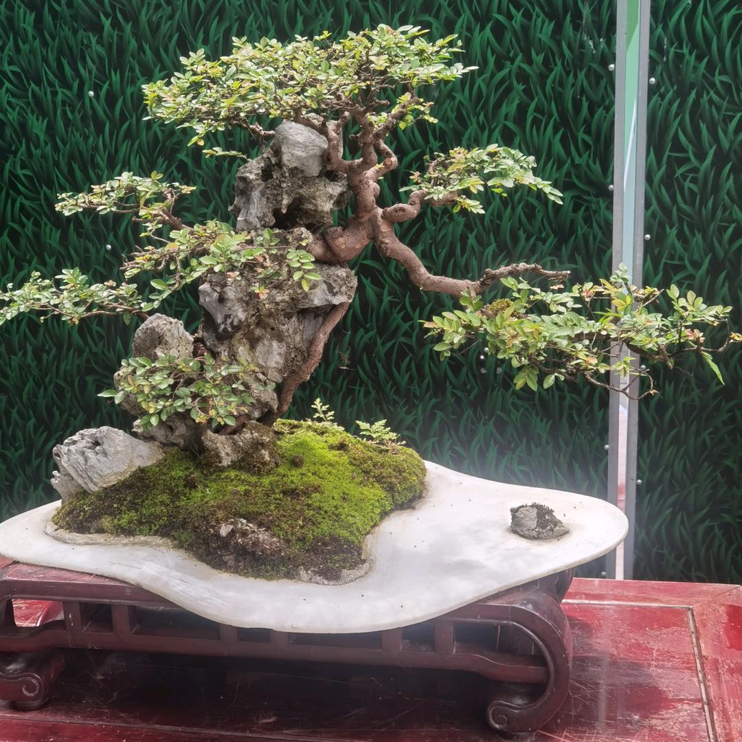 人间有味是清欢