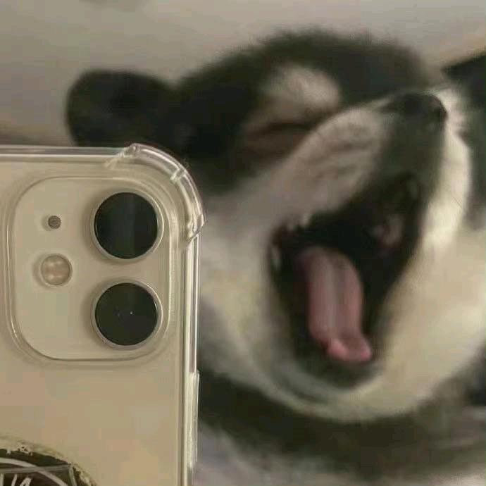 啦啦啦.