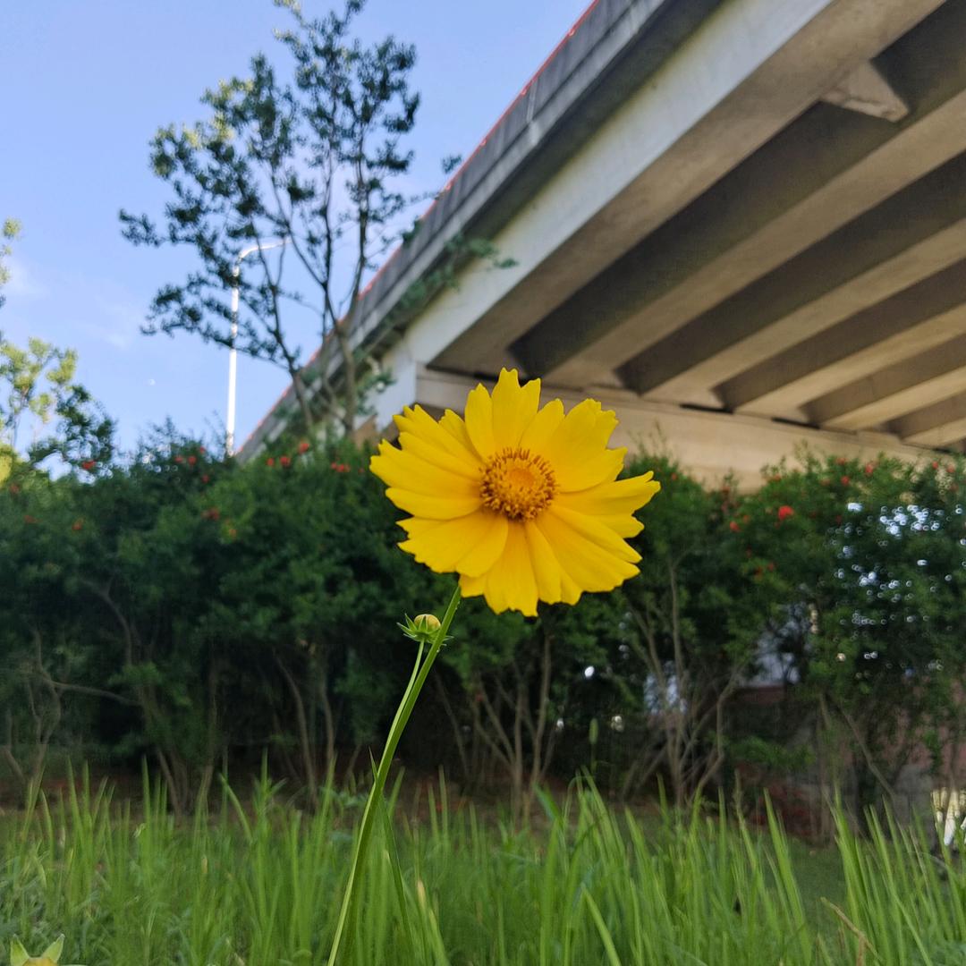 都市布衣