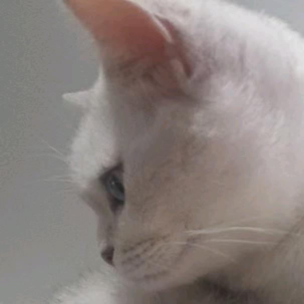 欠