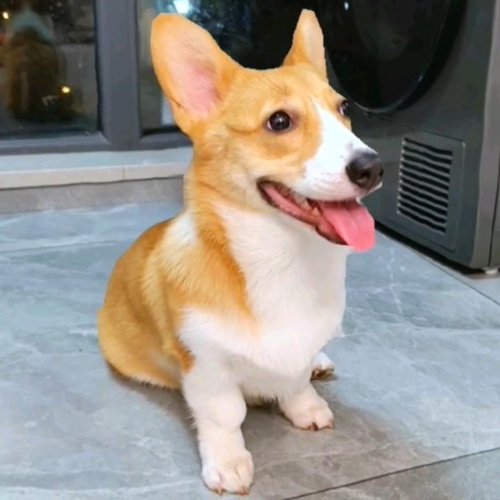 李的点滴