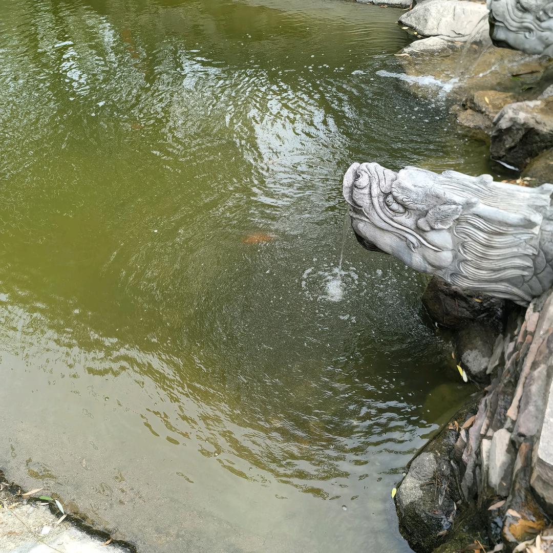 小雨说社保