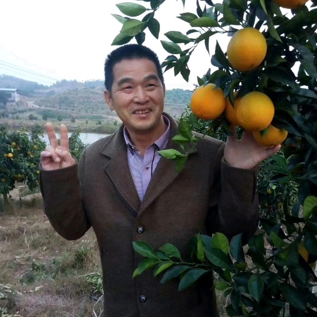 赣南脐橙，新田镇健康美食店