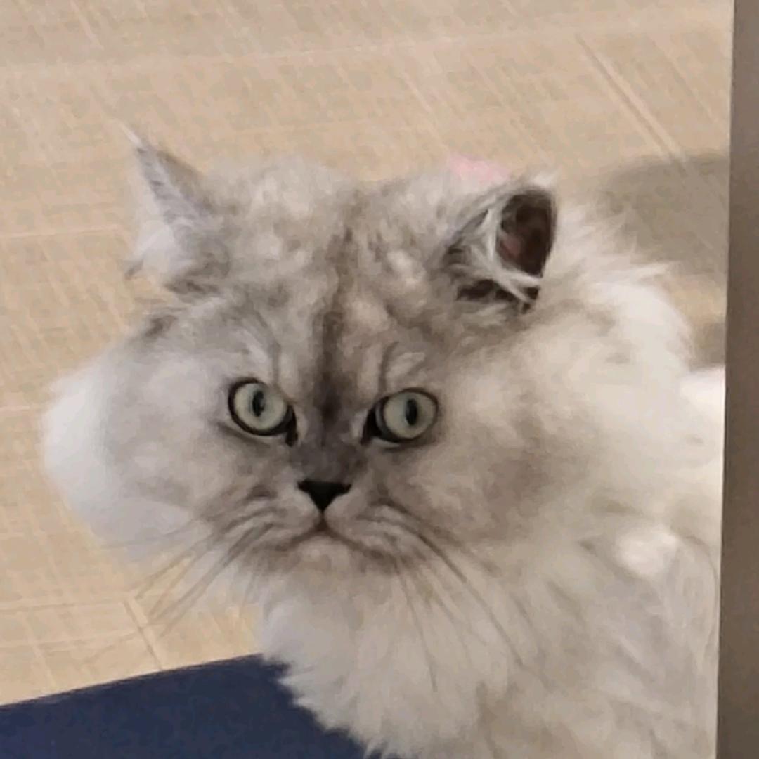 Zoe