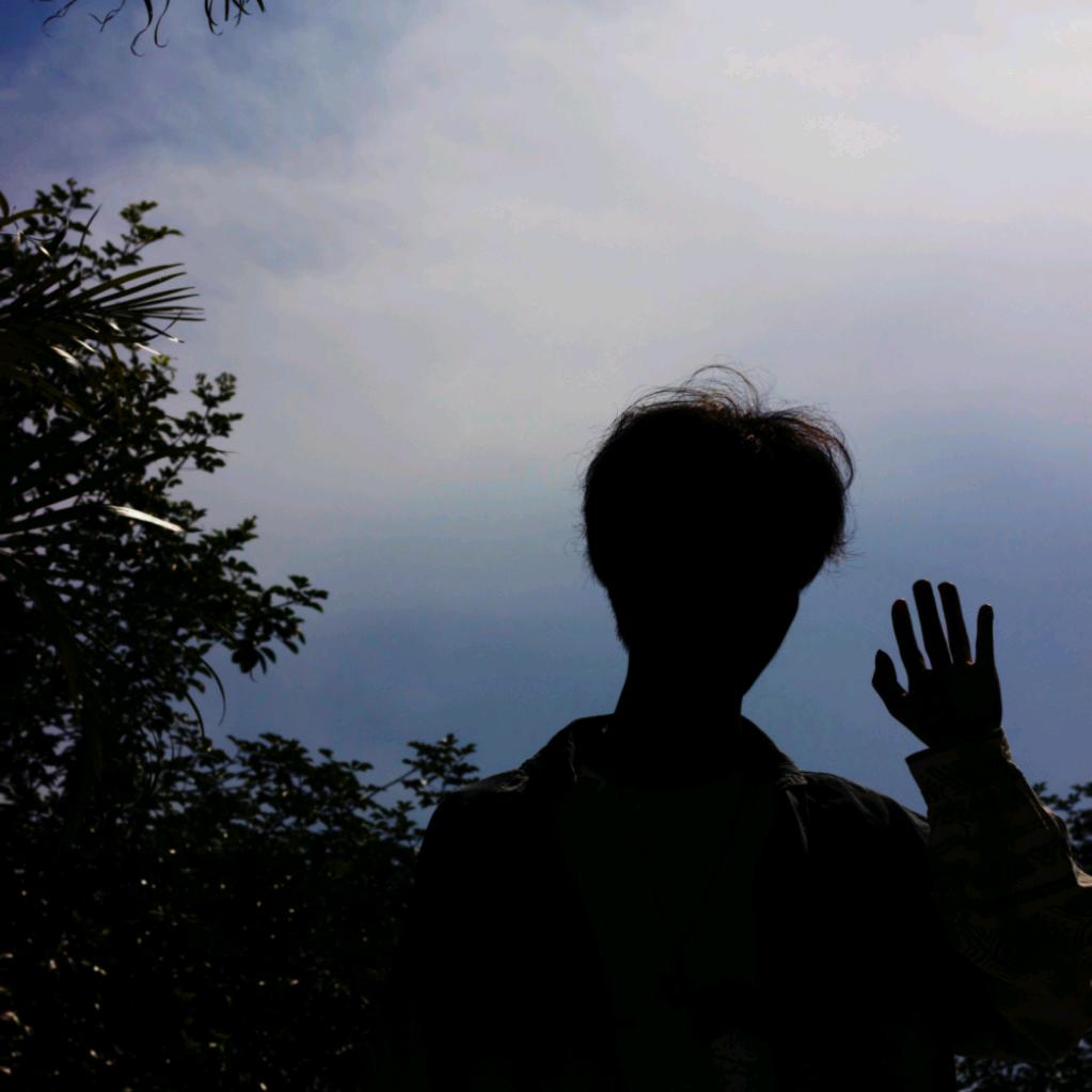 、Maple