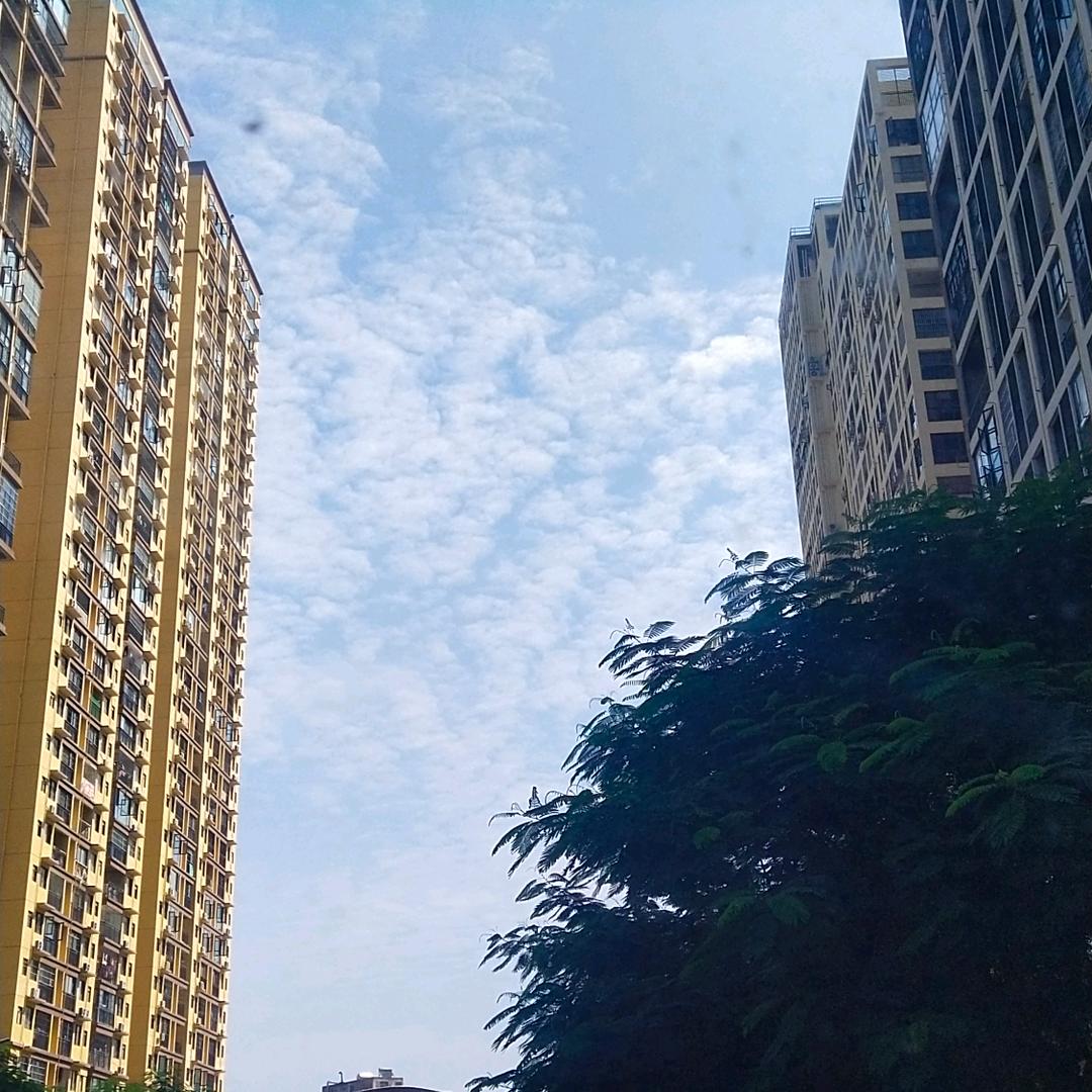 完善自我