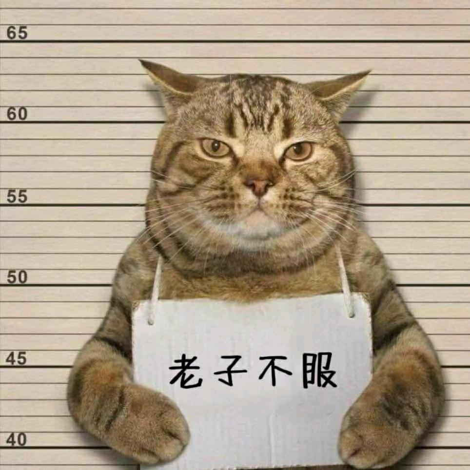 命中注定.