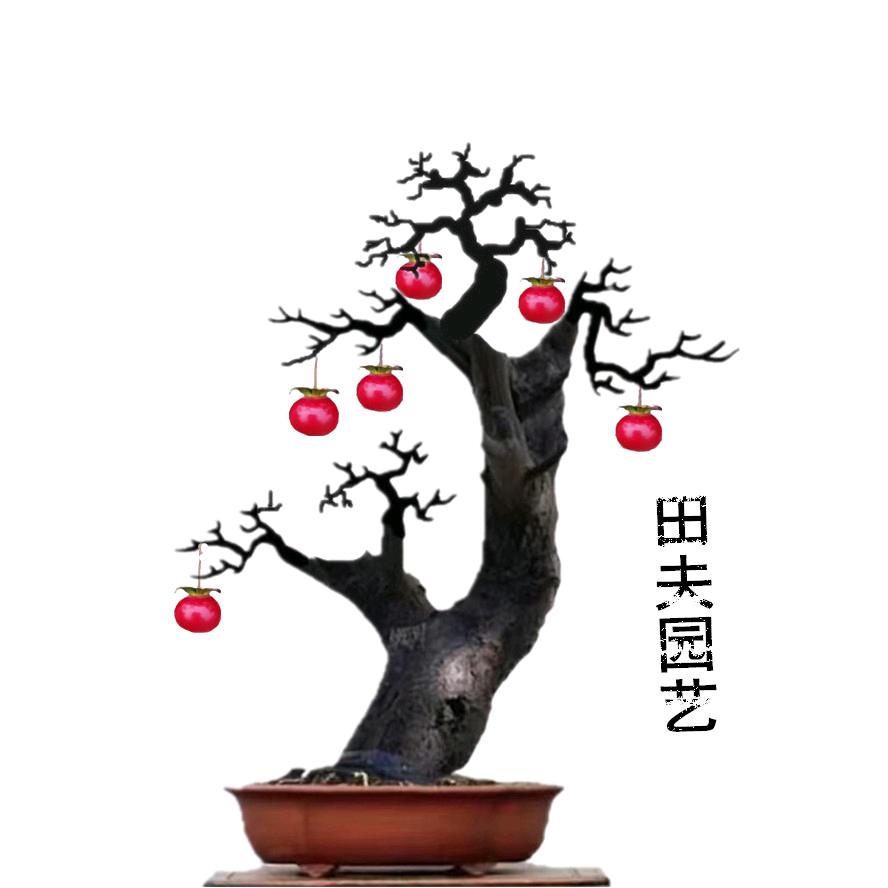 田夫园艺