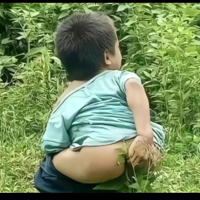 拿棍扒拉屎