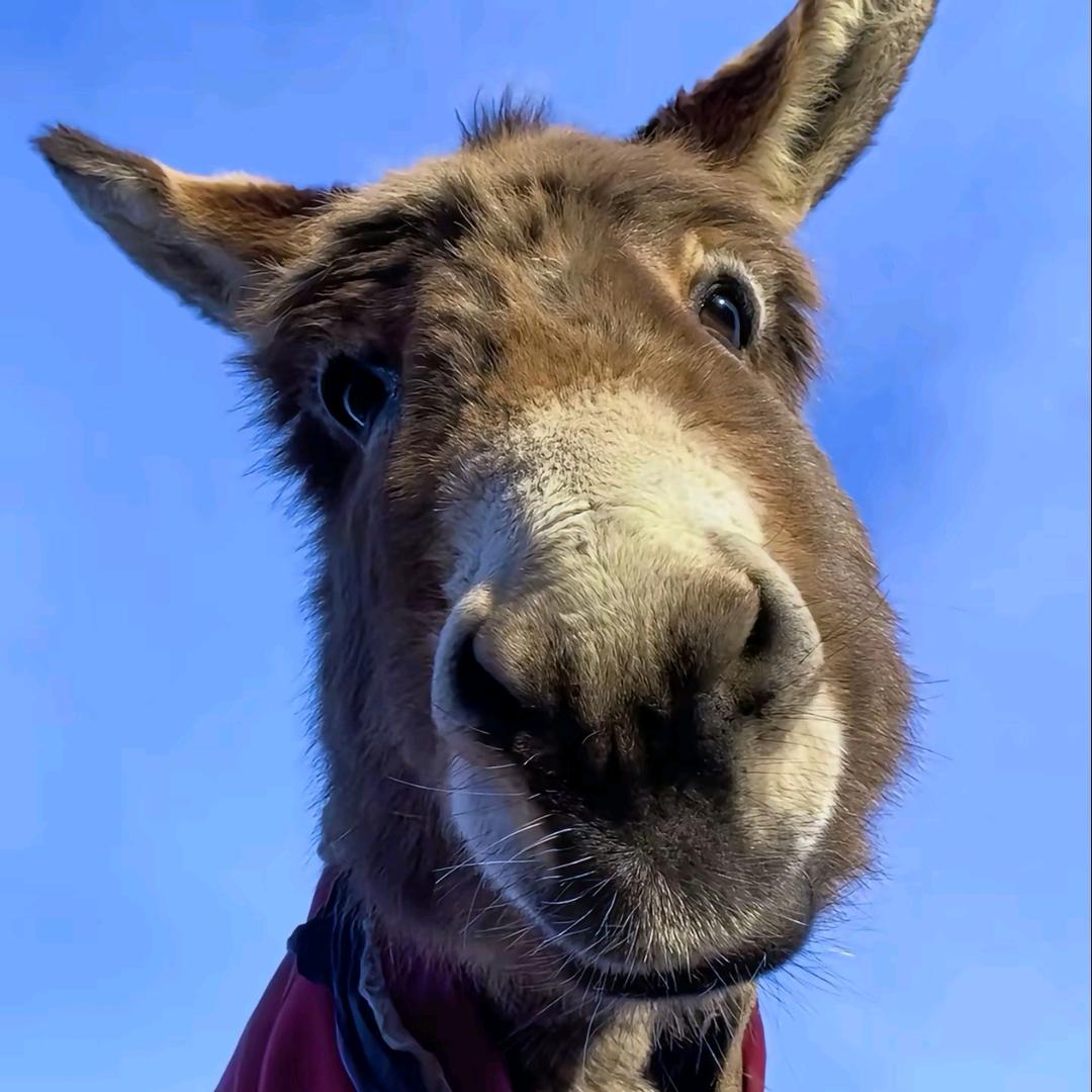 财神爷的心尖尖.