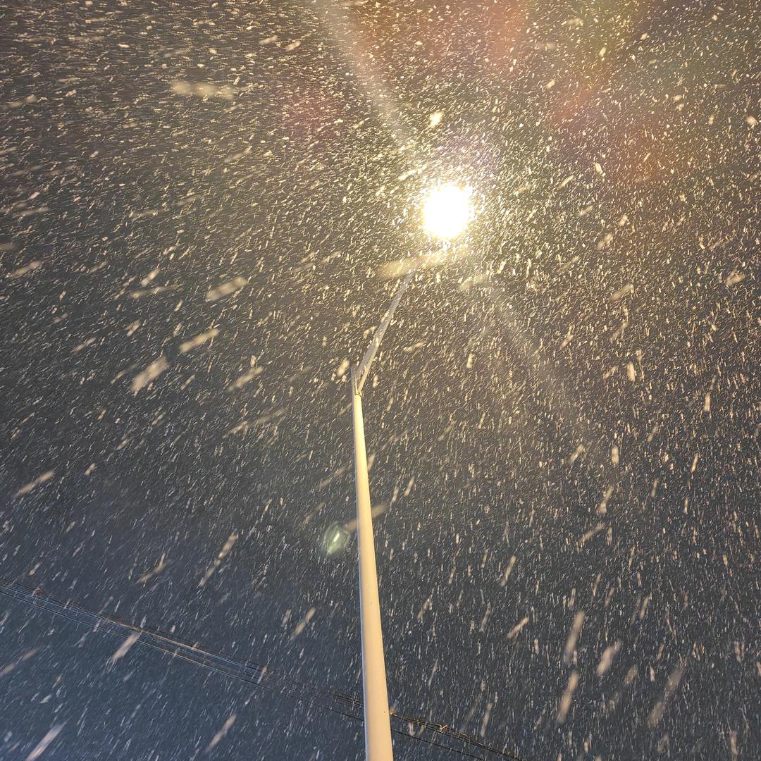 柚子皮（不吃辣）