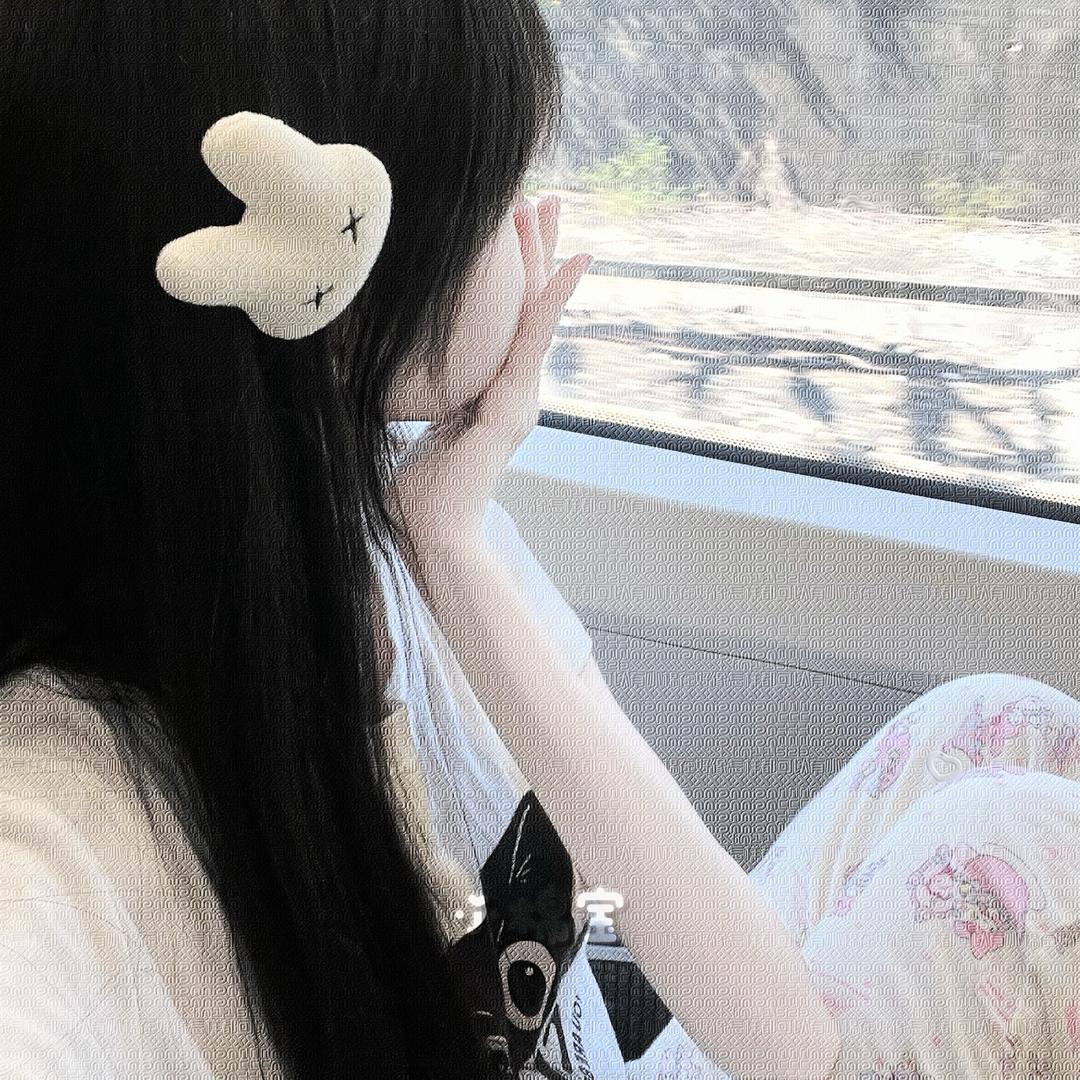 心宝